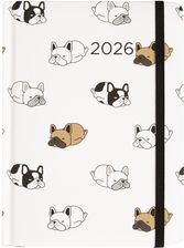 Zdjęcie Kalendarz 2026 B6 dzienny, psy - Pilica