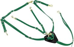 Zdjęcie Lakota Napierśnik Biotanowy Z Martingale - Wiślica