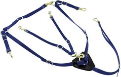 Zdjęcie Lakota Napierśnik Biotanowy Z Martingale - Darłowo