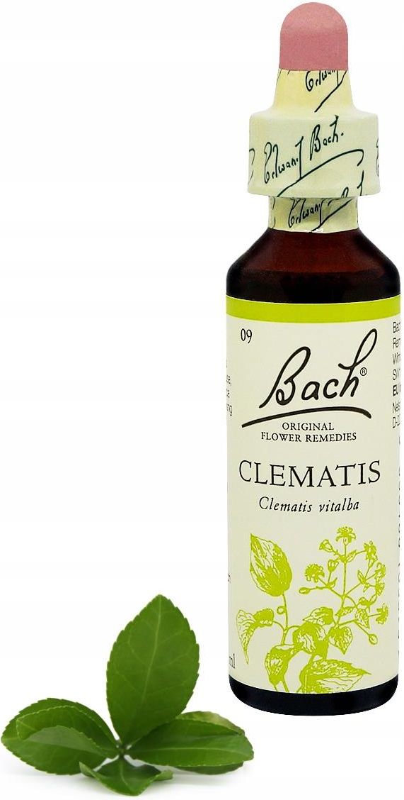 Biofloral 09 Clematis Clematite Granules Bio Fleur De Bach Granules 19,5 Gr