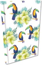 Zdjęcie Notes A5 Kratka Soft Touch Egzotyczne Tukany - Witkowo