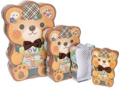 Zdjęcie Rozette Pudełko Flower Box 3szt. Miś - Bochnia