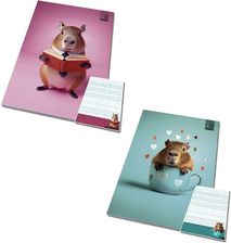 Zdjęcie Bee-Bee Notes A6/50K Kratka Poddruk Kapibara 10Szt - Libiąż