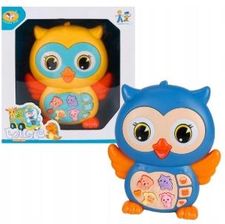 Zdjęcie Bo Jungle Czarująca Sowa Muzyczna - Lidzbark Warmiński