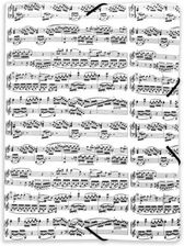 Zdjęcie Agifty Teczka Z Motywem Nut Na Pięciolinii - Gryfino