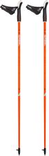 Zdjęcie Gabel Kije Do Nordic Walking Stride X-1.35 - Pleszew
