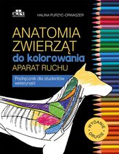 Zdjęcie Anatomia zwierząt do kolorowania. Aparat ruchu  - Tczew