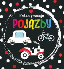 Zdjęcie Bobas poznaje pojazdy - Kolbuszowa