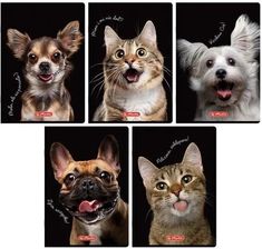 Zdjęcie Herlitz Zeszyt Do Słówek A6/16K Kratka Crazy Animal 20szt. - Maków Podhalański