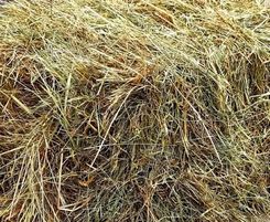 Zdjęcie Siano Łąkowe 300G - Miasteczko Śląskie