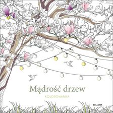 Zdjęcie Mądrość drzew (kolorowanka)  - Ozimek