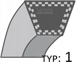 Zdjęcie Pasek Cedrus Glebogryzarka Gl03 /12X1323/ - Śrem