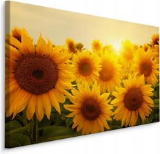 Zdjęcie Muralo Obraz Canvas Słoneczniki Zachód Słońca 3D 100x70 - Orneta