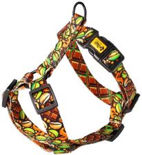 Zdjęcie Dingo Szelki Guard City Dubaj S 2 24-45Cm - Żywiec