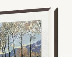 Zdjęcie Produkt z Outletu: Tcl Frm652A-O Do Nxtvision A300W 65" Midnight Oak (FRM652AO) - Częstochowa