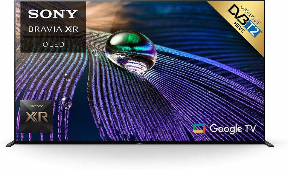 Zdjęcie Produkt z Outletu: Sony : Telewizor Bravia 65 Cali Xr-65A90J (65A90J) - Tłuszcz