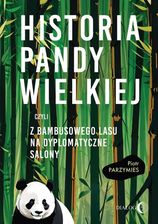 Zdjęcie Historia pandy wielkiej, czyli z bambusowego lasu na dyplomatyczne salony  - Wejherowo