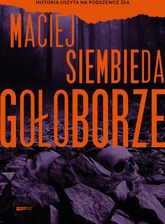 Zdjęcie Gołoborze - Dzierzgoń