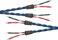 Zdjęcie Wireworld Oasis 10 Speaker Cable (Single-Wire) - 2x2.0m - Uni-Term Banana - Przewód głośnikowy - Września