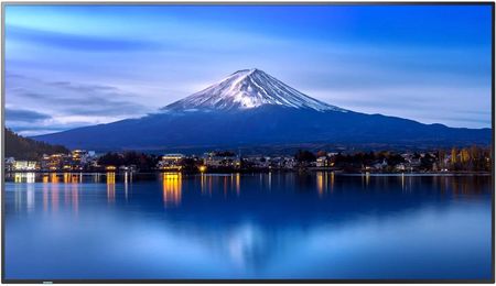 Nec Sharp/Nec Multisync P656 Kiosk 163,8Cm (64.5")  (60006061)