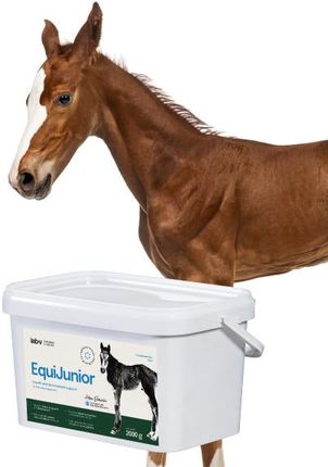 Lab-V Equijunior Mieszanka Paszowa Uzupełniająca Dla Źrebiąt, Wspierająca Wzrost, Rozwój I Prawidłowe Żywienie Młodych Koni Kucyków 2000G