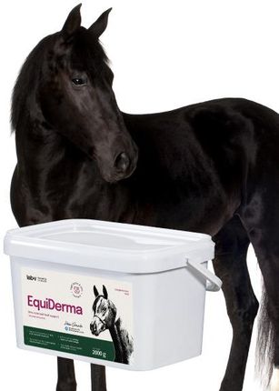 Lab-V Equiderma Mieszanka Paszowa Uzupełniająca Dla Koni I Kucyków Wspierająca Kondycję Skóry, Sierści Kopyt 2000G