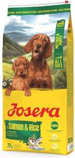 Zdjęcie Josera Mother&Puppy with Salmon & Rice 12,5kg - Karpacz