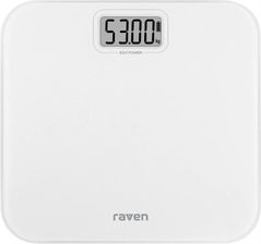 Raven Eco Power EW015