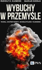 Zdjęcie Wybuchy w przemyśle. Teoria, eksperymenty, modelowanie i tłumienie  - Szprotawa