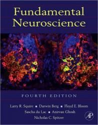 Fundamental Neuroscience,