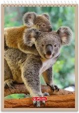 Zdjęcie Herlitz Kołonotatnik A7/40K. Kratka Animals 1szt. - Wrocław