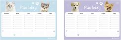 Zdjęcie Interdruk S.A. Interdruk Plan Lekcji Ze Zwierzątkami A4 Różowy Niebieski Z Pieskiem Kotkiem - Tarnów