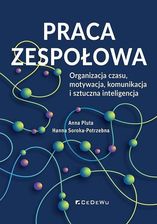 Zdjęcie Praca zespołowa. Organizacja czasu, motywacja.. - Sulęcin
