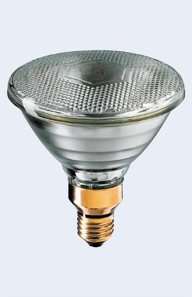 Żarowka halogenowa Philips Żarówka PAR38 PAR38 120W Spot E27 24V ...