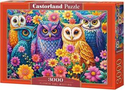 Zdjęcie Castorland Puzzle 3000 Flower Owl Meeting Castor - Miłosław