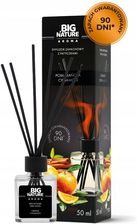 Zdjęcie Big Nature Dyfuzor Zapachowy Pomarańcza 50ml - Ropczyce