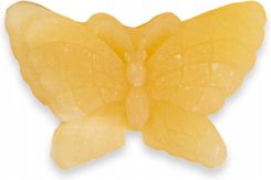 Zdjęcie Gemour Motyl z Kamienia Żółty  - Warszawa