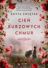 Zdjęcie Cień burzowych chmur. Spacer Aleją Róż  - Sulechów