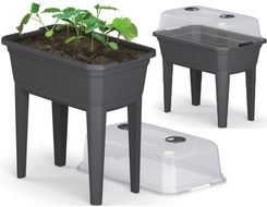 Zdjęcie Prosperplast Miniszklarnia Respana Planter Ecoline Set 36.8 X 59.6 X 75.3 - Drezdenko