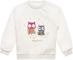 Zdjęcie Cool Club Bluza Dziewczęca Sowy 98 Cm - Golub-Dobrzyń
