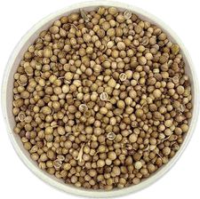 Zdjęcie Kolendra ziarno 100g - Byczyna