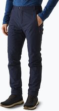 Zdjęcie Regatta Spodnie Trekkingowe Męskie Highton Winter Navy - Łask