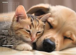 Zdjęcie Panta Plast Mata Na Biurko Z Nadrukiem Friendship - Swarzędz