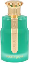 Zdjęcie Emir Lueur D'Espoir Serene Grove Woda Perfumowana 100ml - Kwidzyn