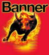 Banner Power Bull 12V 100Ah 800A (P100 40) (P+)