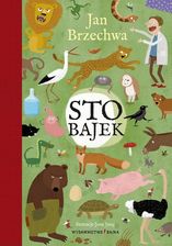 Zdjęcie Sto bajek EDUKAMP - Radków