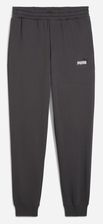 Zdjęcie PUMA ESS 2 kolor nr 1 logo spodnie dresowe FL cl - Zator