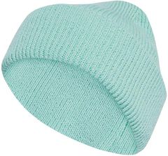 Zdjęcie adidas Uniseks Terrex Multi Beanie, Semi Flash Aqua, L - Mirsk
