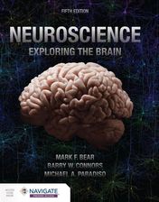 Zdjęcie Neuroscience: Exploring the Brain - Ciężkowice