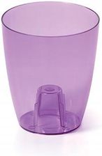 Zdjęcie Prosperplast Doniczka Do Storczyków Coubi Duow 13cm Fioletowa - Działoszyn